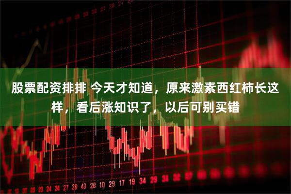 股票配资排排 今天才知道，原来激素西红柿长这样，看后涨知识了，以后可别买错